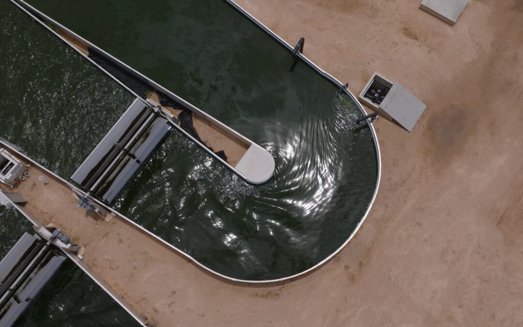 Case Study | RegenAqua